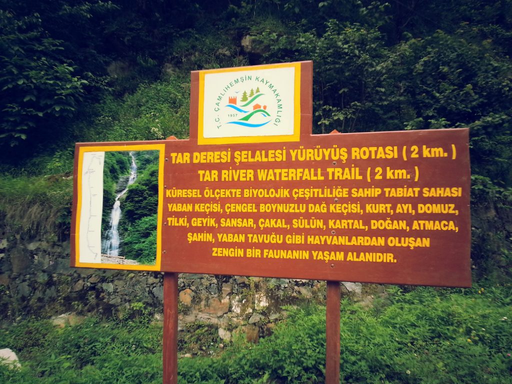 bulut-tar-deresi-selalesi