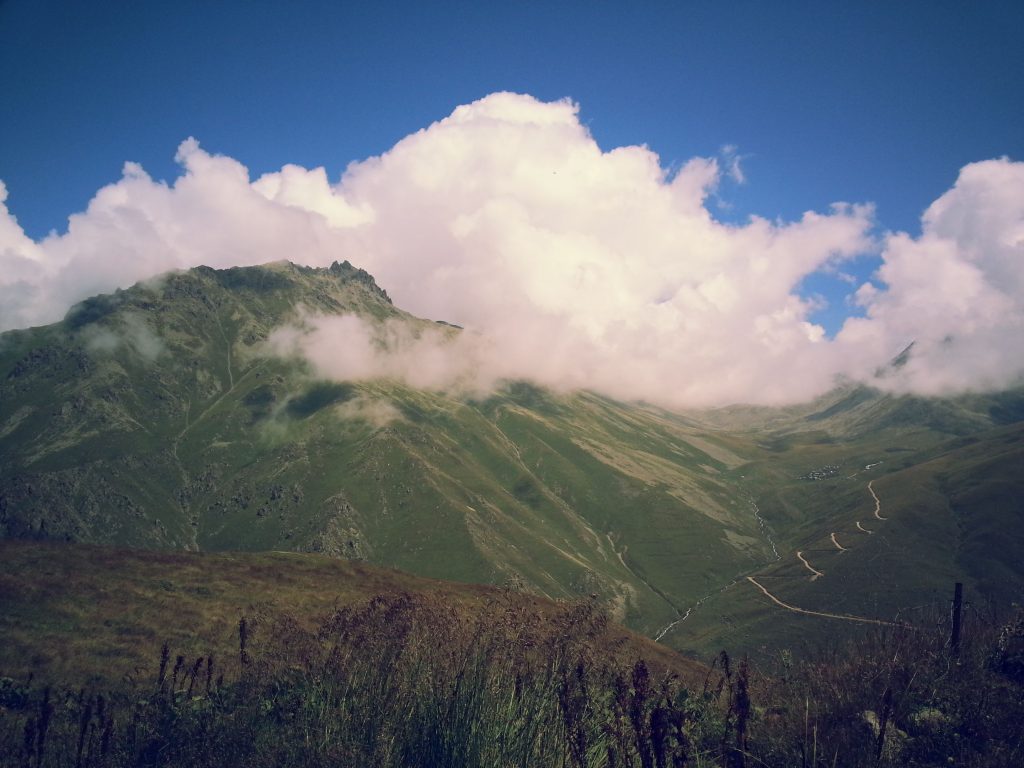 vercenik-cicekli-yayla