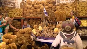 kalimnos-sungerci