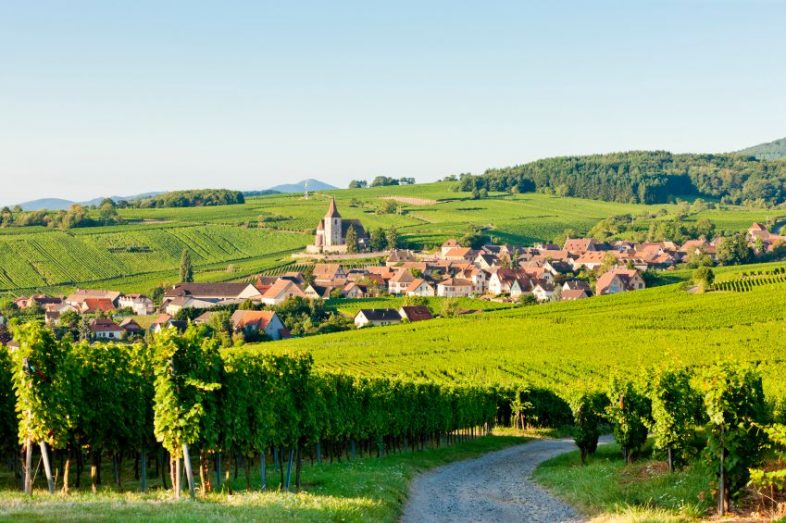 alsace-sarap-rotasi